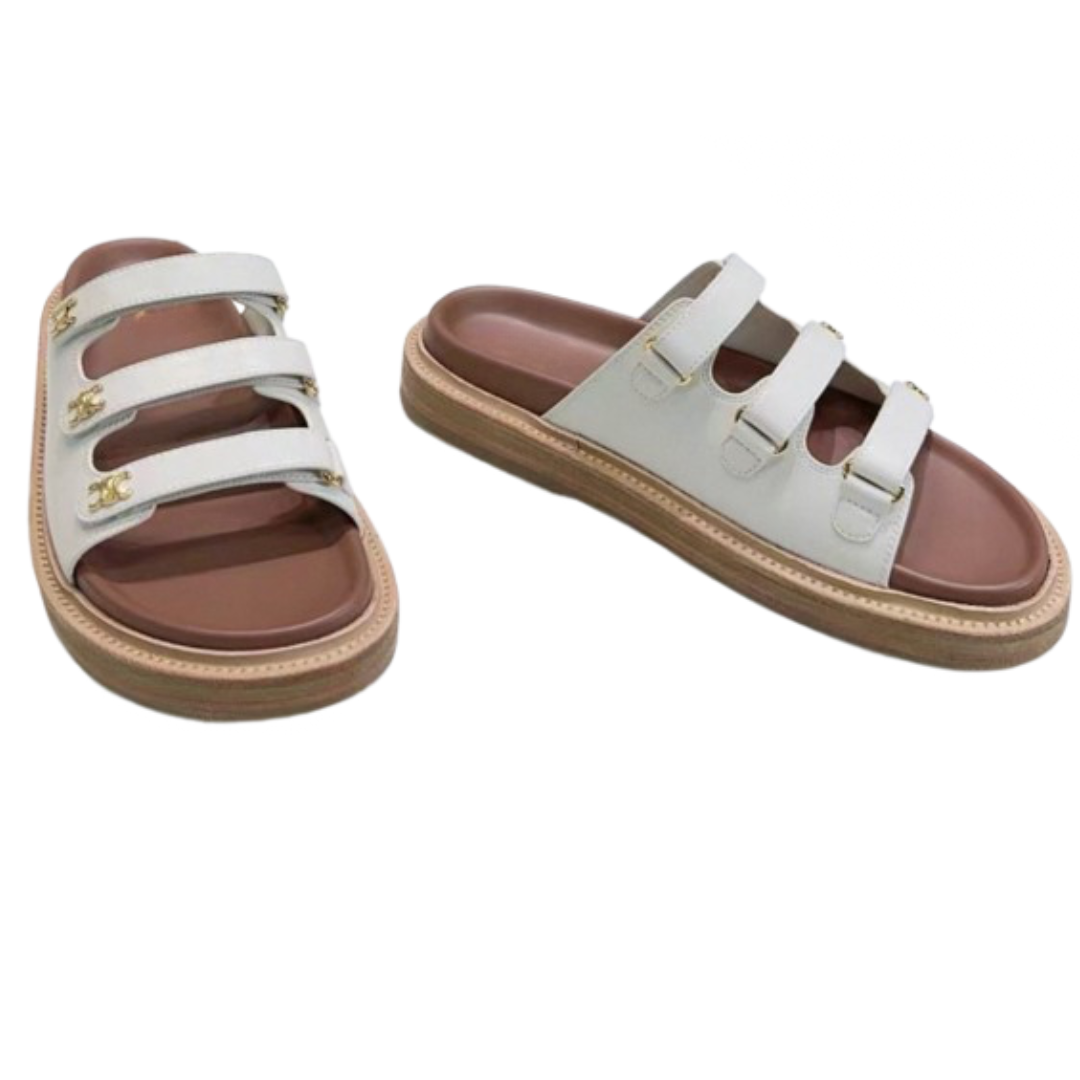 Shirley Slides