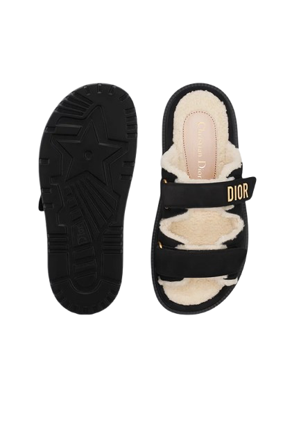 Dorothea Slides